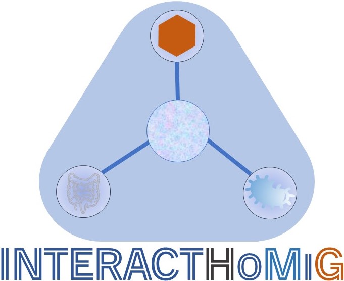 INTERACTHoMiG