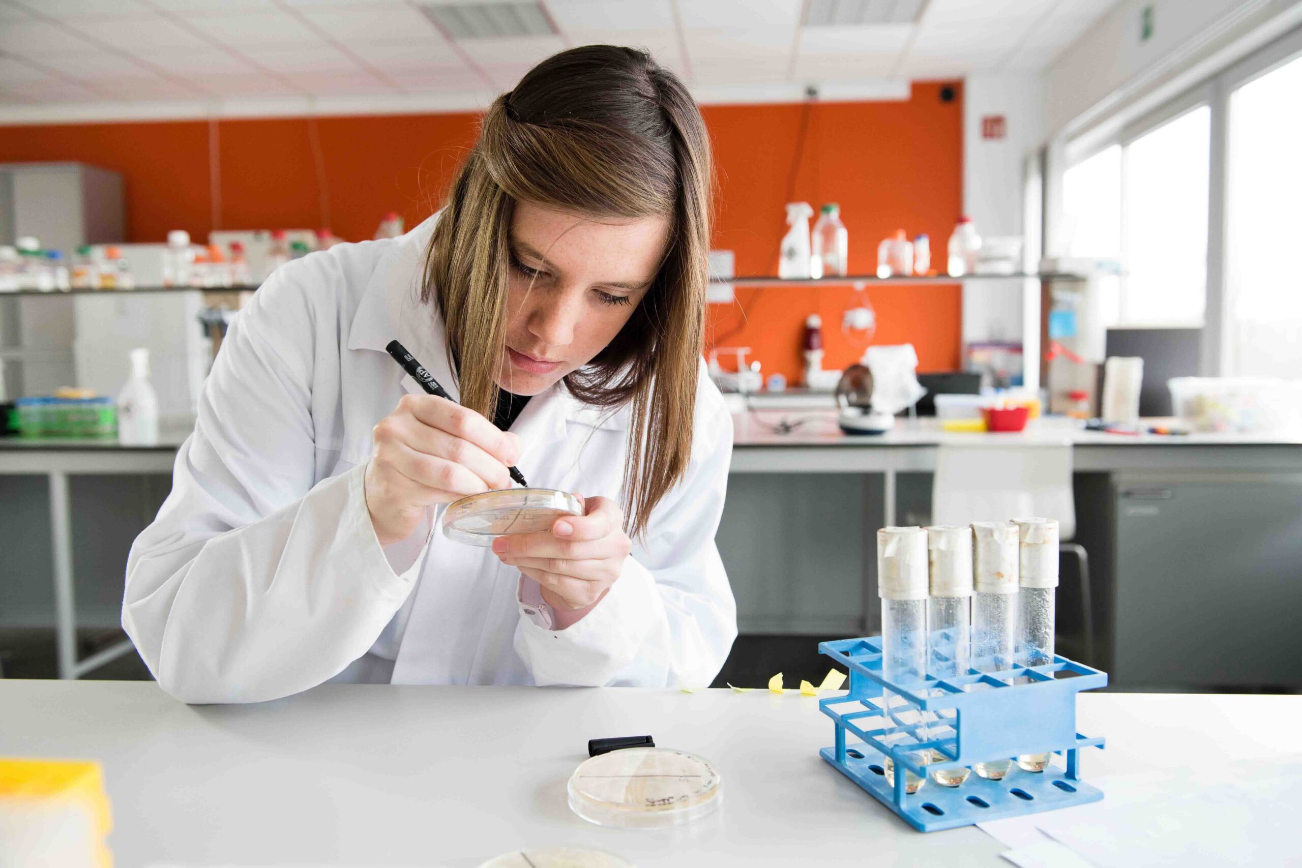 How to choose an HMO supplier - 5 criteria for evaluating commercial HMO suppliers_Inbiose